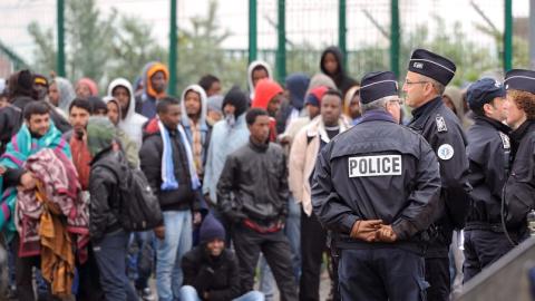 l'apport de l'immigration
