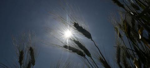 Météo : vague de chaleur et orages attendus cette semaine sur la France