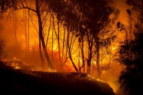 Incendies en Kabylie: la France et le Maroc apportent leur aide à l’Algérie
