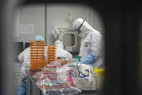 Origines de la pandémie de Covid-19 : l'hypothèse de la fuite de laboratoire revient
