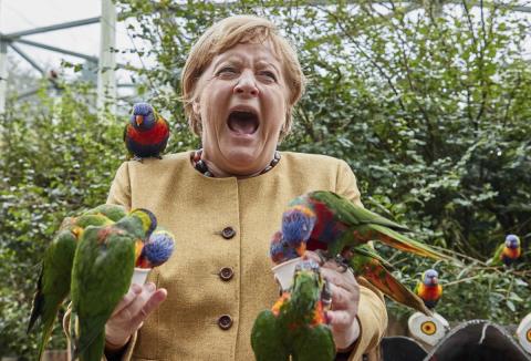 Élections allemandes : hécatombe parmi les proches de Merkel