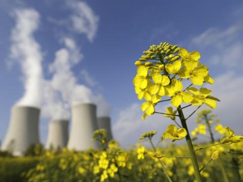 Onze Etats de l'UE s'allient pour défendre le nucléaire