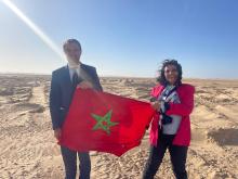 DELAFOSSE-DAKHLA