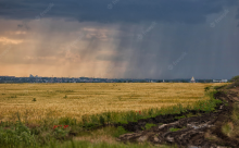 Pluies et orages : des récoltes compromises partout en France