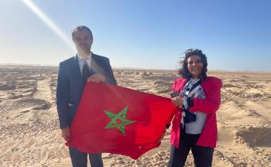 DELAFOSSE-DAKHLA