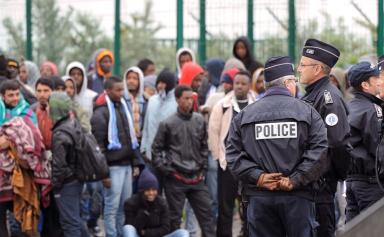 l'apport de l'immigration