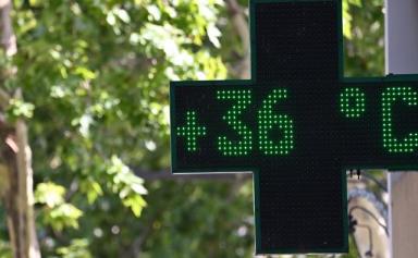 Canicule : Le sud-est de la France continue à battre des records de température