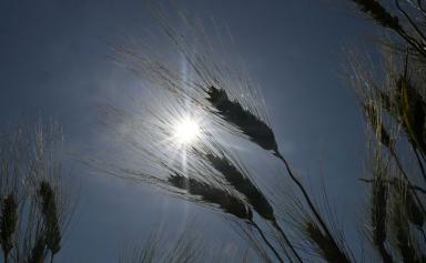 Météo : vague de chaleur et orages attendus cette semaine sur la France