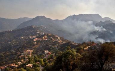 Algérie : au moins 34 morts dans de violents incendies