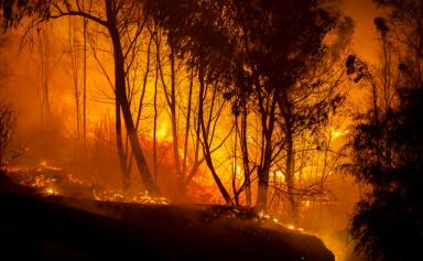Incendies en Kabylie: la France et le Maroc apportent leur aide à l’Algérie