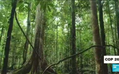 COP26 : une centaine de dirigeants mondiaux s'engagent à enrayer la déforestation