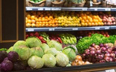 Ukraine : un plan d'urgence pour la sécurité alimentaire mondiale
