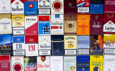 Alerte de l'OMS : L'industrie du tabac a un impact «désastreux» sur l'environnement