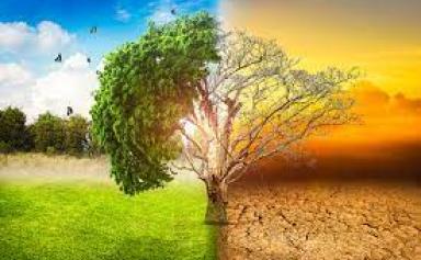 Climat : le réchauffement en France s'annonce pire que prévu