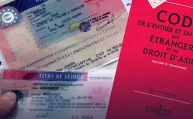 Titres de séjour en France: la justice retoque l'imposition de démarches en ligne