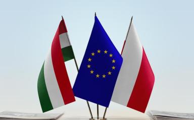 Varsovie et Budapest protestent contre un système de solidarité sur l’immigration au sommet de l’UE
