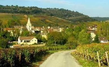 Les zones rurales offrent-elles un accueil «plus humain» pour les réfugiés ?